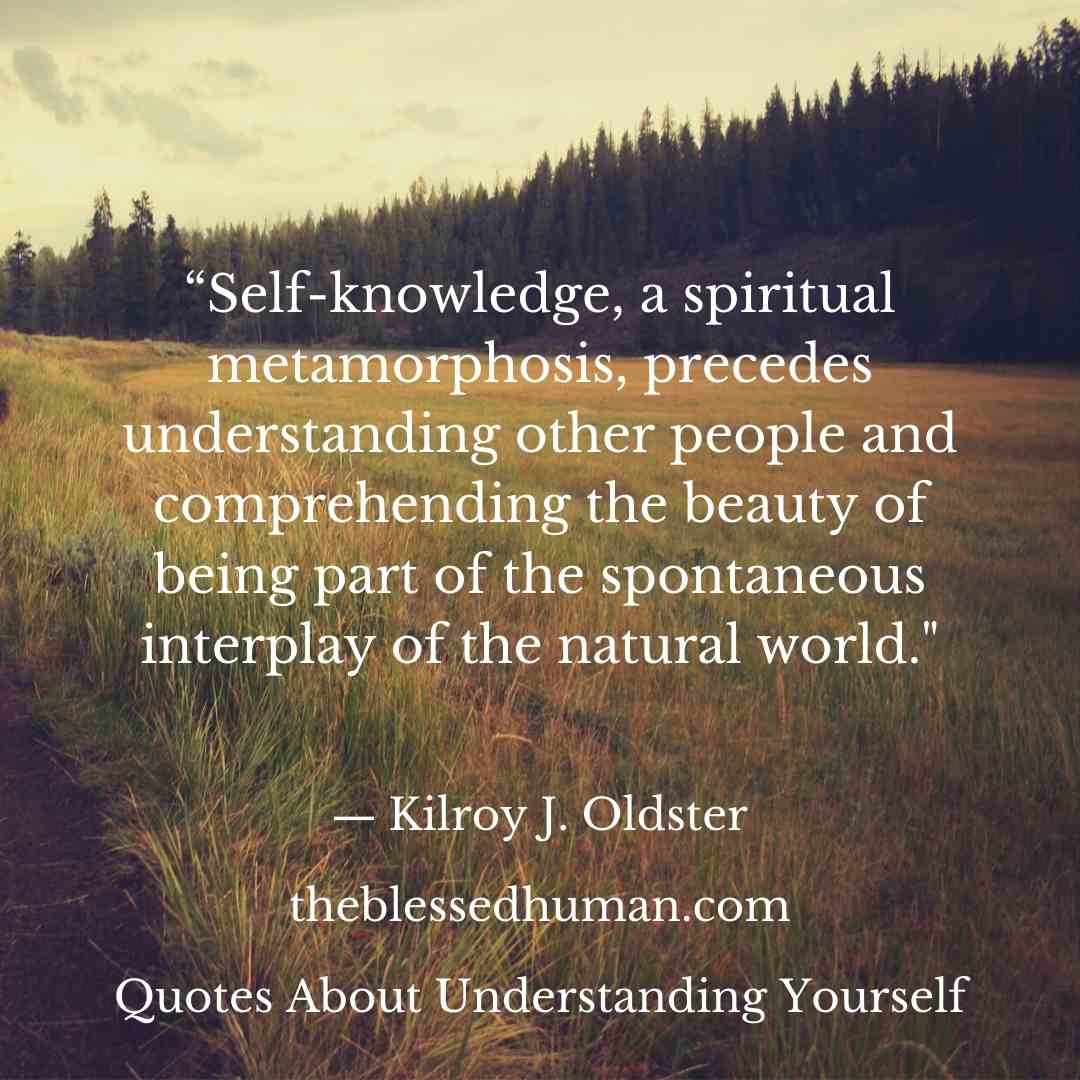 Quotes About Understanding Yourself.