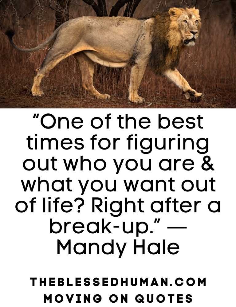 Moving on quote
